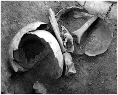 Figura 2. Restos de los cráneos, colocados en la base de la fosa, y sobre ellos otros fragmentos. Fuente: Cáceres et al., 2007: 902.