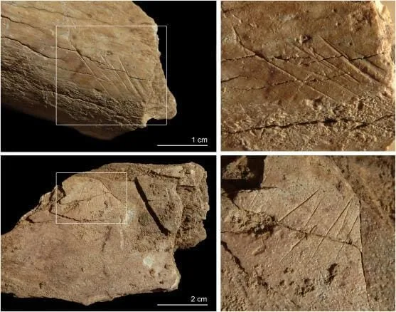 Herramientas líticas. Rosell et al., 2010 y 2017.