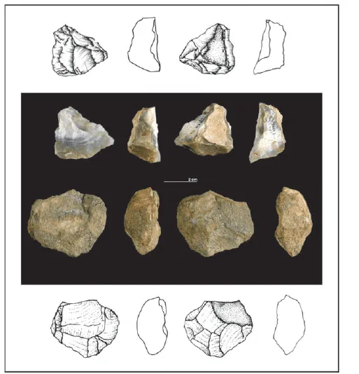Huesos con marcas de corte. Rosell et al., 2010 y 2017.