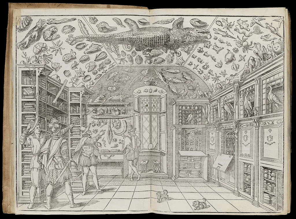 Figura 2. Xilografía de una cámara&nbsp; de maravillas, conservada en el libro “Dell´historia naturale”, de Ferrante Imperato. Libro XXVIII, publicado en Nápoles en 1599. Wellcome Library, London. Fuente