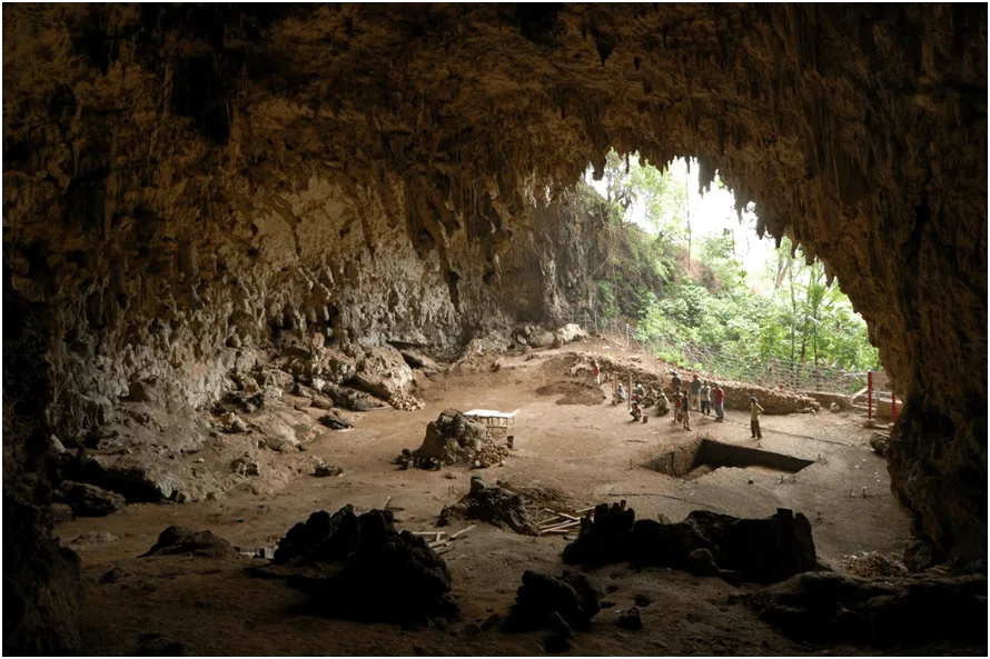 Figura 2. Cueva de Liang Bua, lugar de descubrimiento del Homo floresiensis. Fuente.