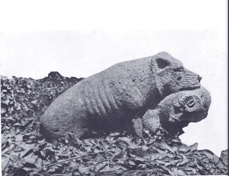 Figura 3. El oso y el carnero. Autor: Manuel Rodríguez de Berlanga. Fuente: Catálogo del Museo Loringiano. Pág.95 Lámina XVI. Licencia: Dominio Público