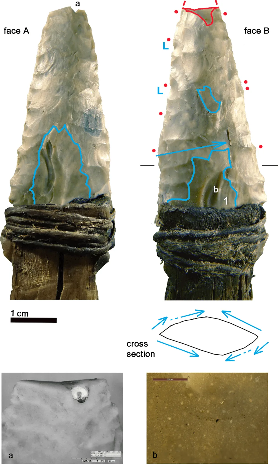 Figura 3. Daga de sílex recuperada junto con el cuerpo de Ötzi. Detalles de la imagen: fractura de la punta; rayón en la superficie de la daga producido por un objeto de cobre. Fuente:&nbsp; Wierer et al., 2018. Licencia: CC BY.