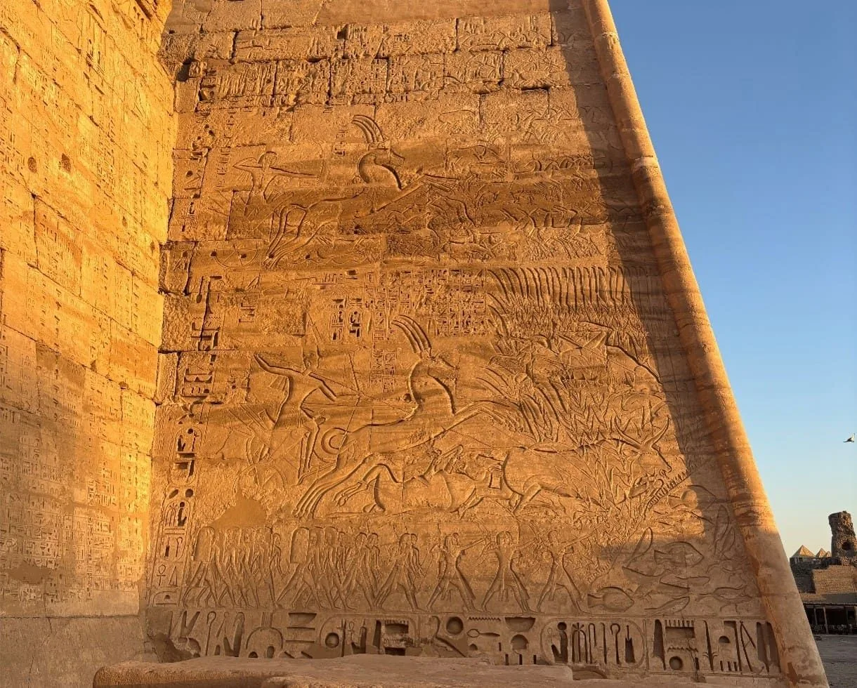 Figura 3. Escena de caza de Ramsés III en Medinet Habu. Fuente: La autora