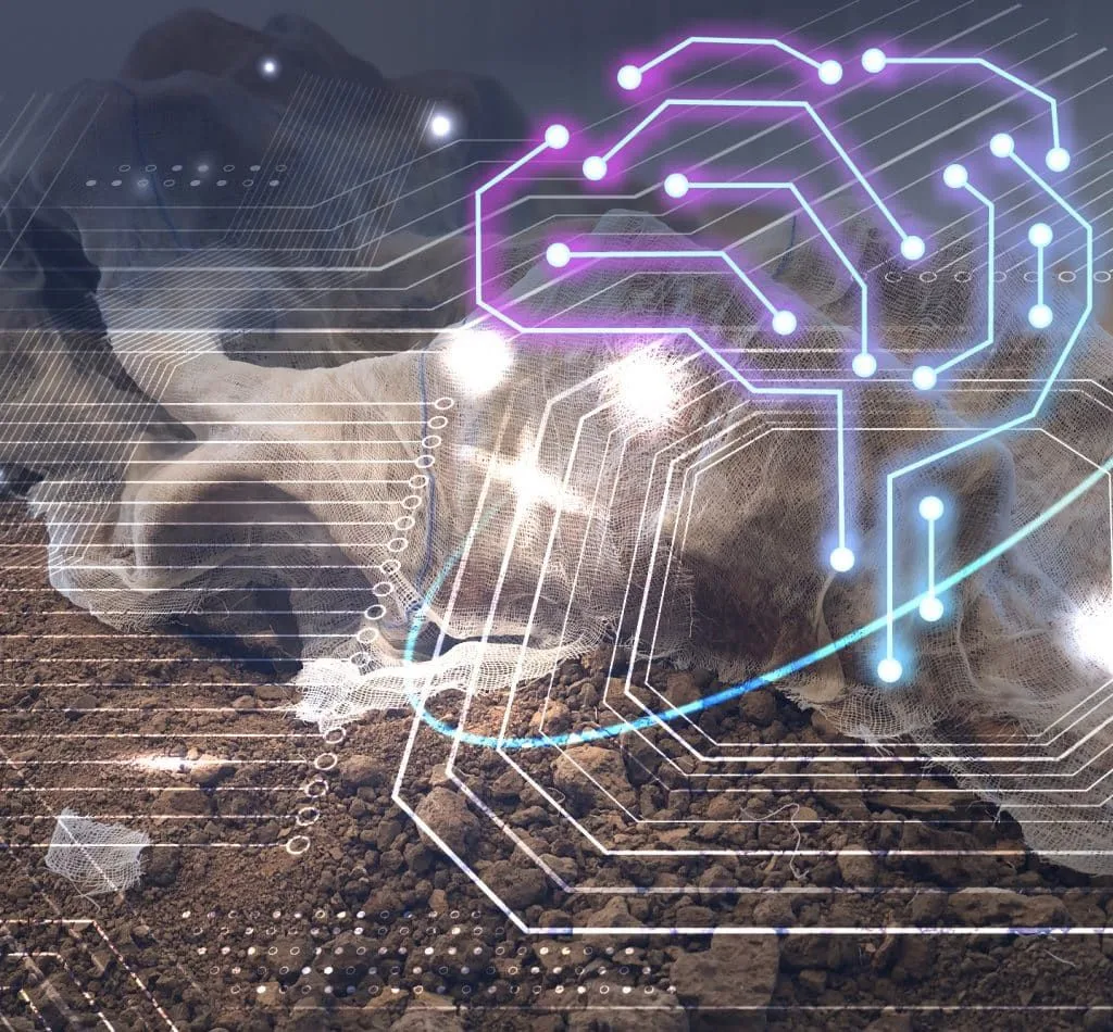 Inteligencia Artificial (IA) en la Arqueología