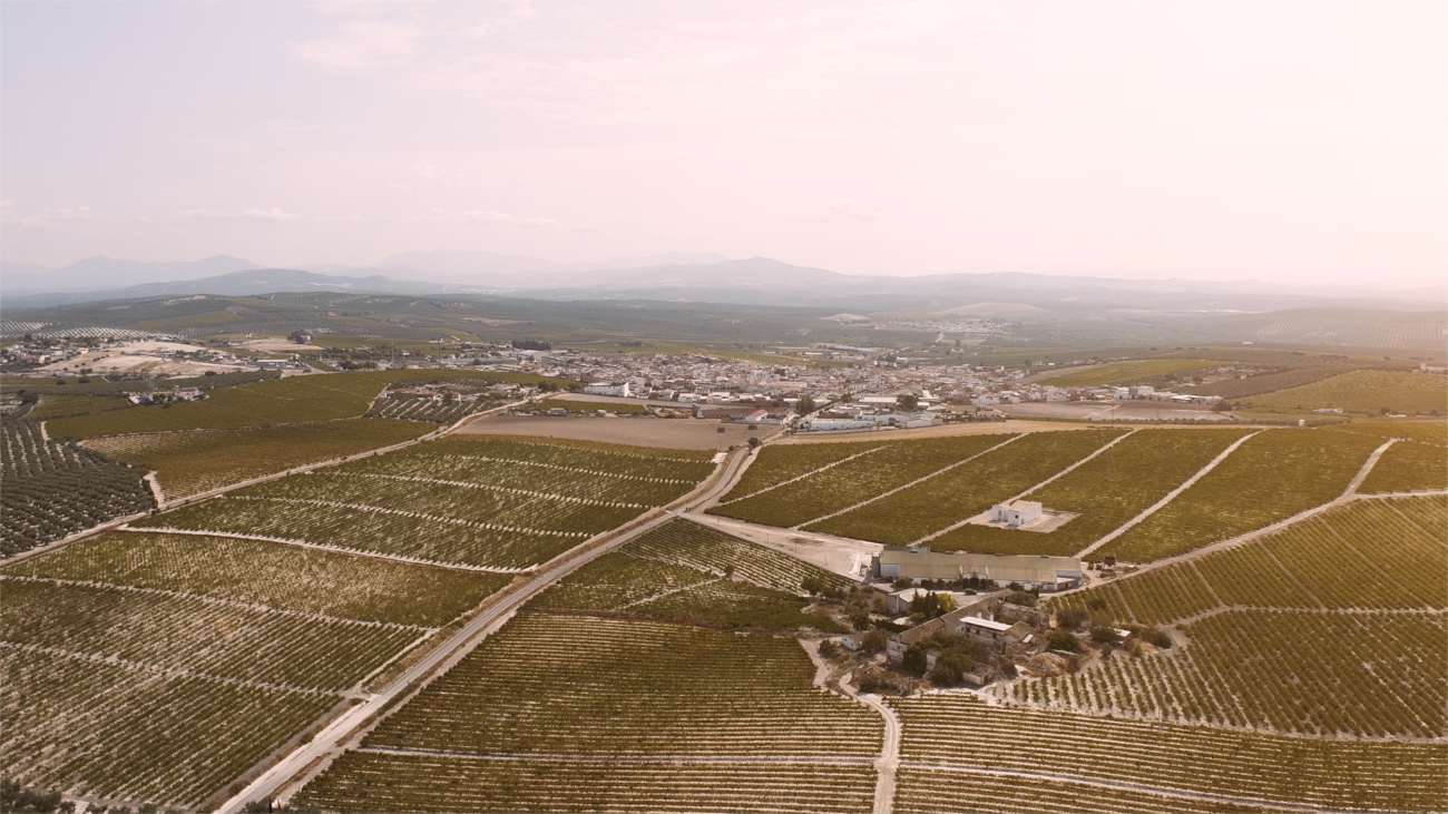 Evidencias arqueológicas del Paleolítico Inferior en Moriles (Córdoba)