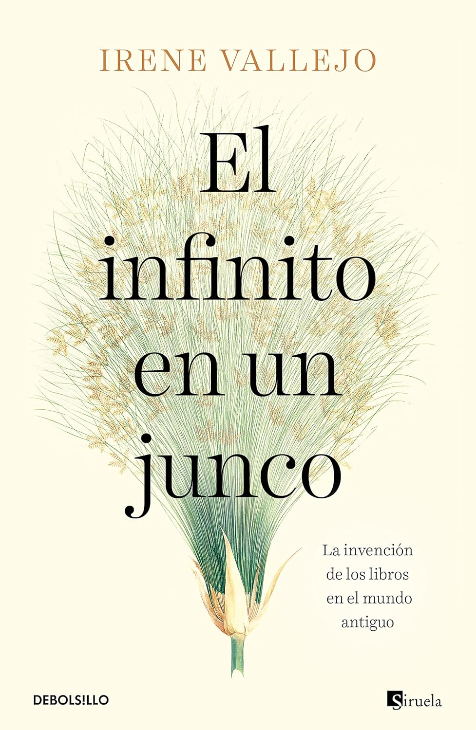 Reseña de «El infinito en un junco», de Irene Vallejo