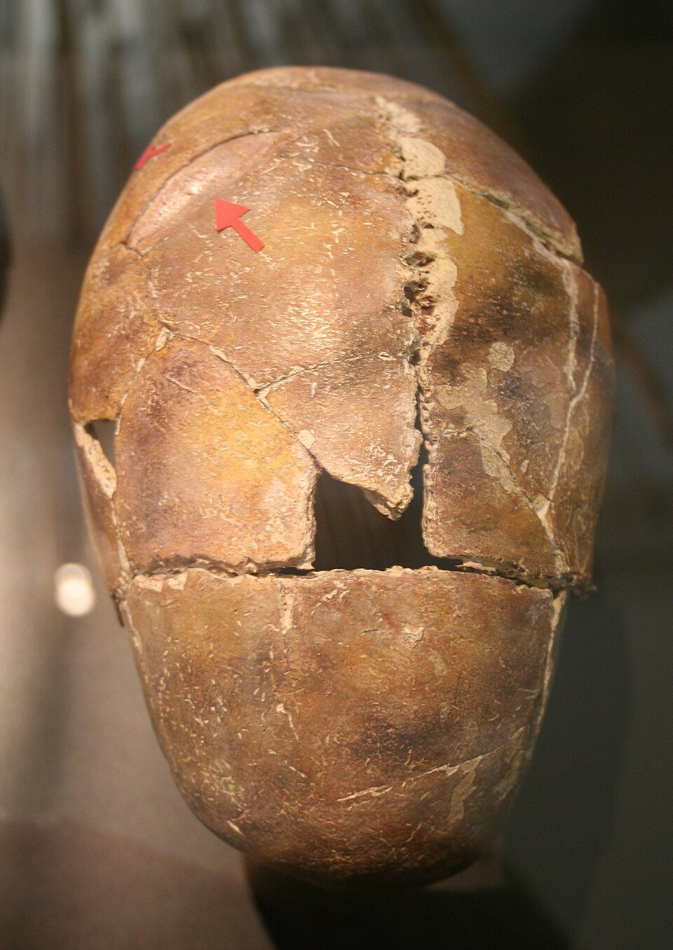 Identidades recuperadas: Arqueología, fosas comunes y justicia social