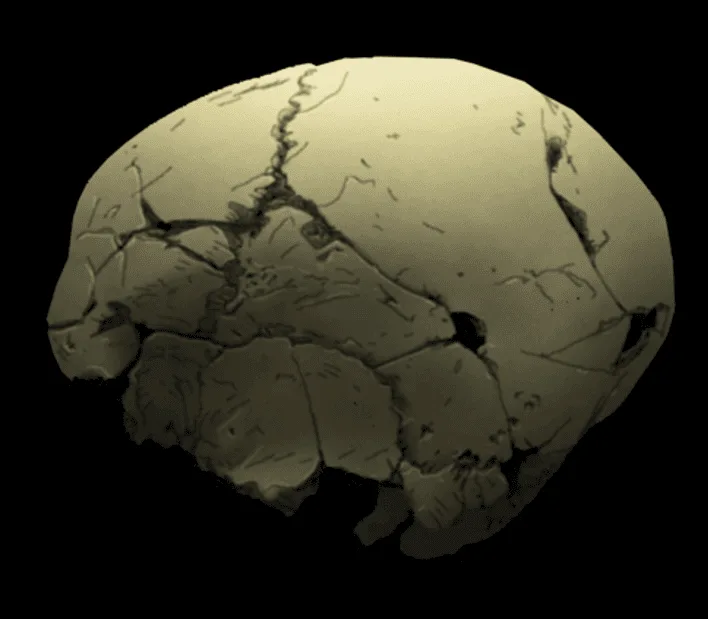 Arqueología y discapacidad en la prehistoria para transformar sociedades presentes