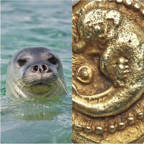 La foca monje en el Mediterráneo antiguo